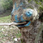 Samothraki